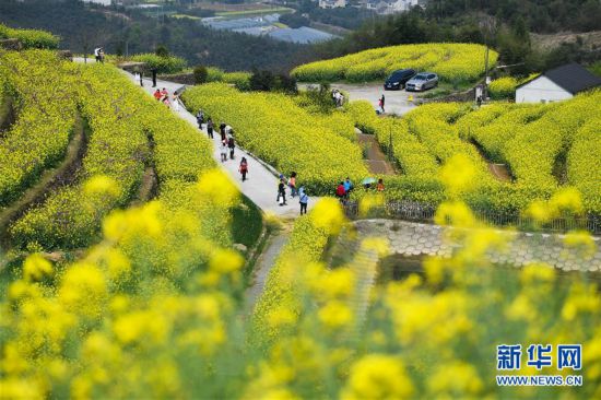 (美丽中国)(1)乡村旅游渐升温 山顶春色迎客来