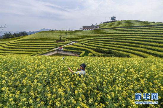 (美丽中国)(4)乡村旅游渐升温 山顶春色迎客来