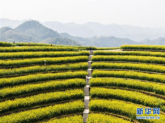 (美丽中国)(6)乡村旅游渐升温 山顶春色迎客来