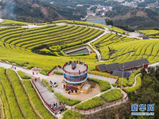 (美丽中国)(7)乡村旅游渐升温 山顶春色迎客来