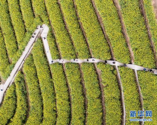(美丽中国)(2)乡村旅游渐升温 山顶春色迎客来