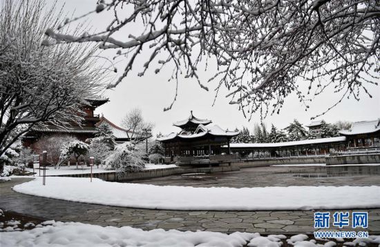 （環境）（1）古城春雪