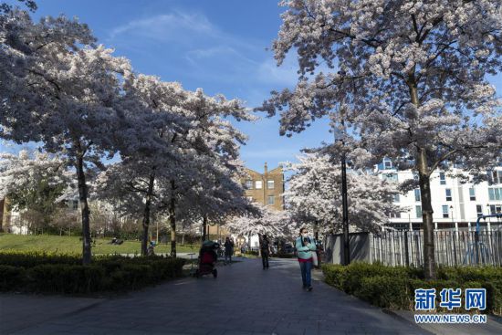 （國際疫情）（2）英國新冠肺炎確診病例數破萬