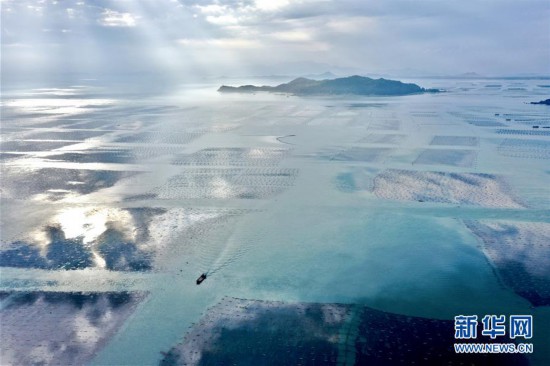 �������й�����1��������ɽ����Ӱ��������