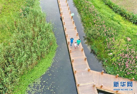 ������������̬����6������ʪ�ض�����