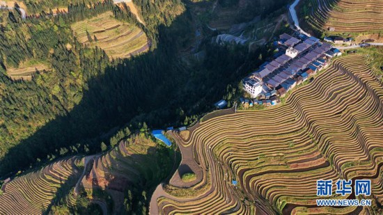 (春季美丽生态)(1)贵州从江:大山深处梯田美