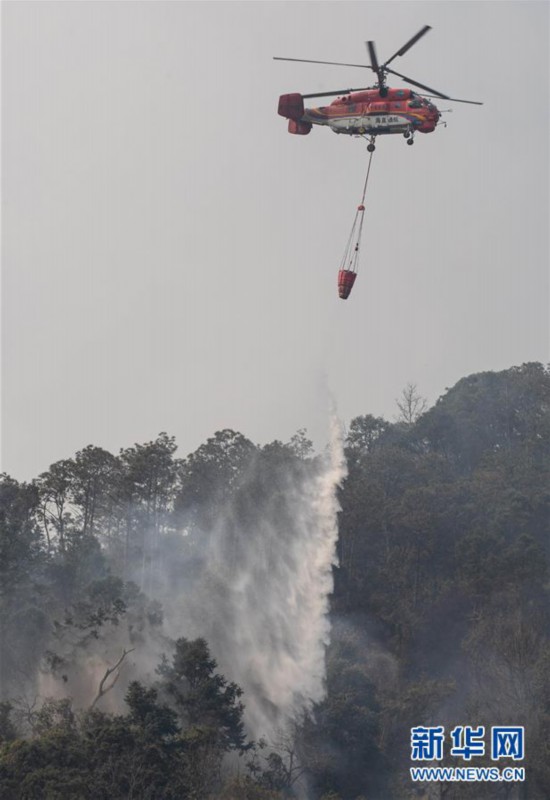 ����ᣩ��5������ɭ�ִ��ȫ���˾�