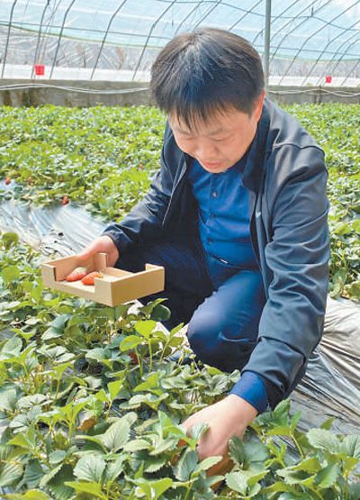 干部走進直播間推銷產品助增收（干部狀態新觀察）