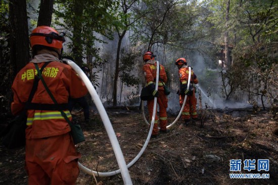 ����ᣩ��2������ɭ�ִ��ȫ���˾�