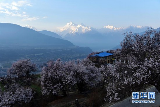 ������������̬����2��������³�ز�����Ͽ��