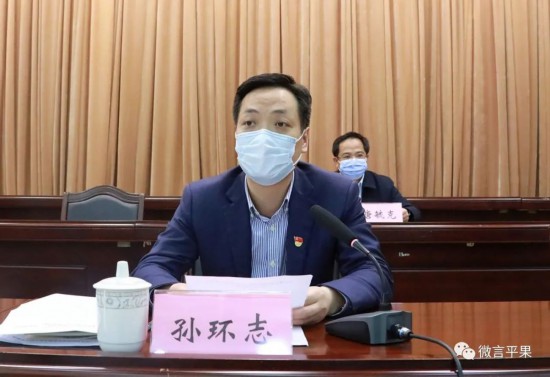 平果县人民政府县长孙环志讲话