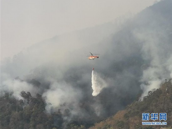 ����ᣩ��8������ɭ�ִ��ȫ���˾�