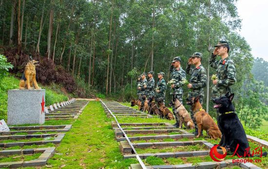 馴導員與軍犬共同向逝去的軍犬敬禮。