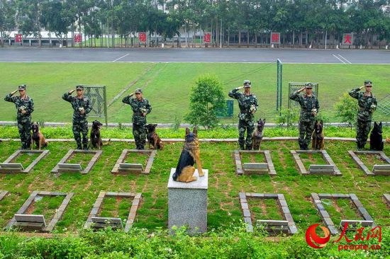 馴導員與軍犬共同向逝去的軍犬敬禮。