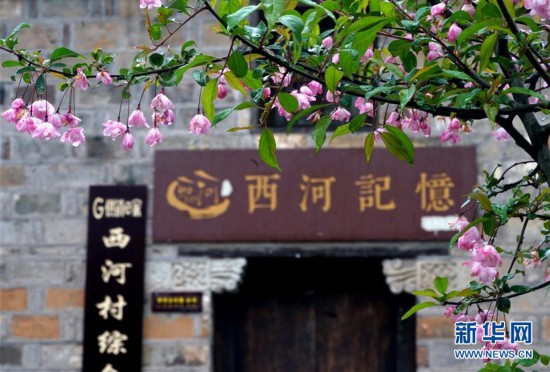 (美丽中国)(9)大别山区——那一抹亮色