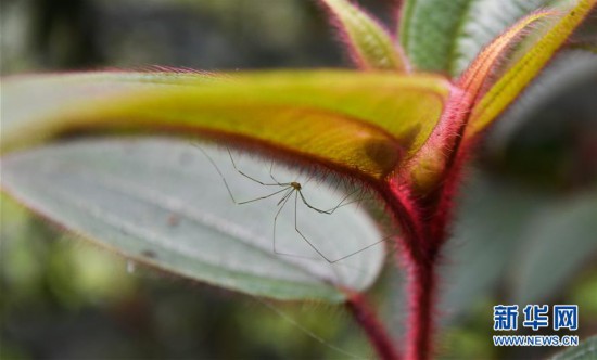 ����ᣩ��7�������ȴ����ֹ��ҹ�԰��������ó����̬��Ƭ