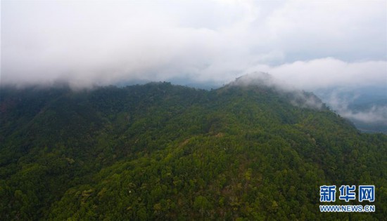 ����ᣩ��12�������ȴ����ֹ��ҹ�԰��������ó����̬��Ƭ