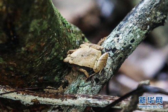 ����ᣩ��5�������ȴ����ֹ��ҹ�԰��������ó����̬��Ƭ