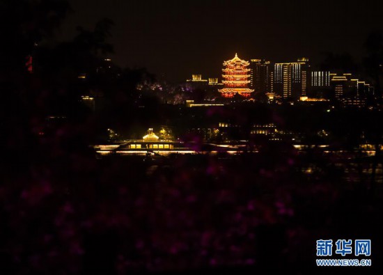 （聚焦疫情防控）（2）黃鶴樓夜景