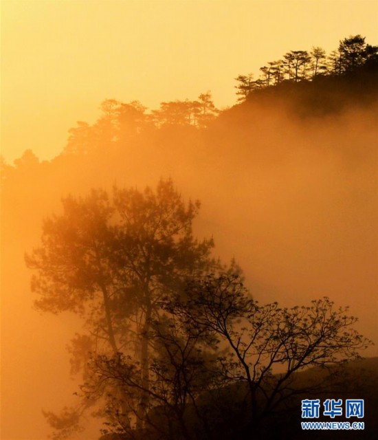 (春季美丽生态)(2)福建武夷山春意盎然
