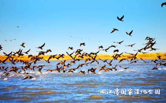 延边朝鲜族自治州人口(2)