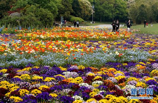 （環境）（1）上海浦東：世紀公園的“彩色季”