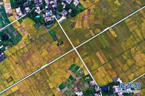 ����ƶ���ᣩ��4����սƶ����������·��������