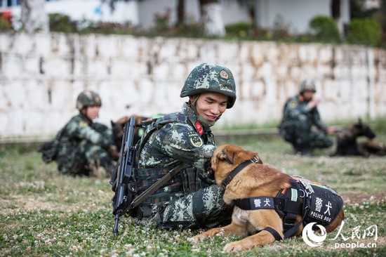 訓導員在訓練后為警犬按摩。