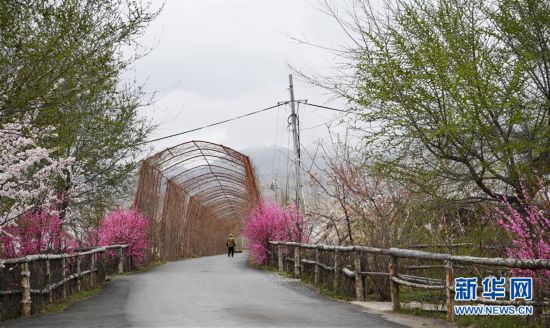 �����ã���2����ɽ����ӣ�Һ�