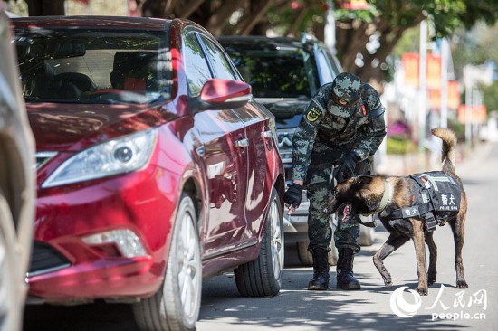 警犬進行車輛搜索訓練。