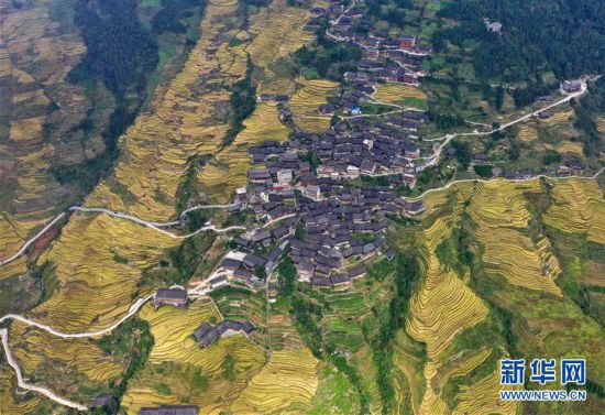 ����ƶ���ᣩ��5����սƶ����������·��������