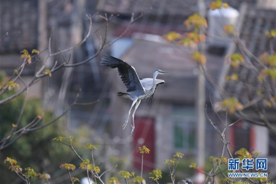 ���»��ӽ磩��4�������Ӱ