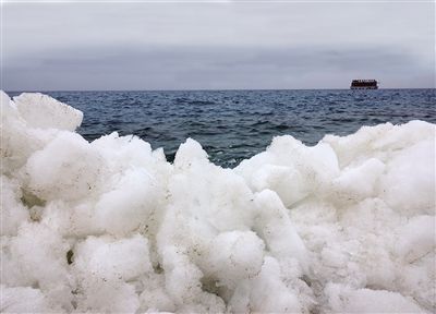 青海湖開春意俏
