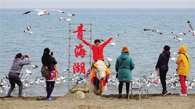 青海湖開春意俏