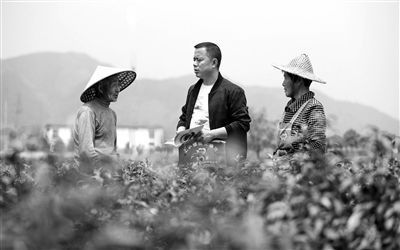 广信区上泸镇有多少人口_广信区郑坊镇卫生院