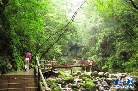(环境)(13)巍峨秦岭 生态屏障