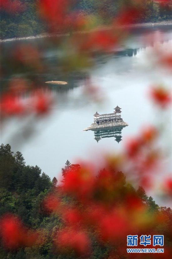 #������������̬����9�������续