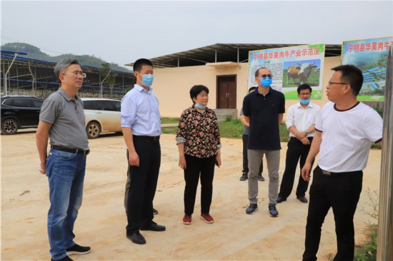 江门市领导到宁明县调研粤桂扶贫协作工作