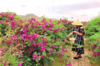 兰州市各区县推多处景点丰富节日旅游