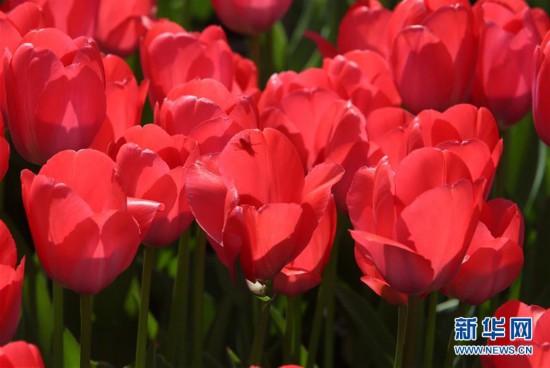 ���»��ӽ磩��4���ʻ�ŭ��