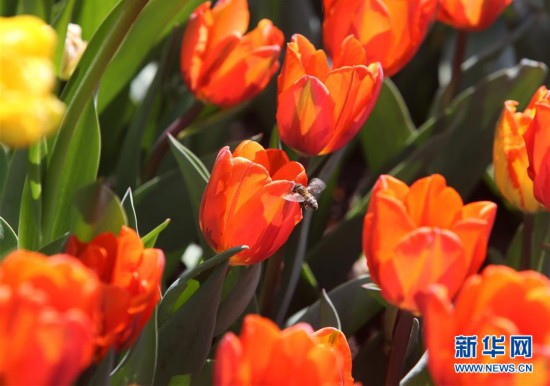 ���»��ӽ磩��6���ʻ�ŭ��