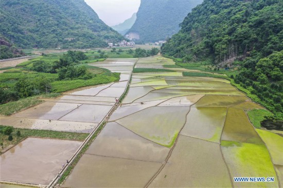 CHINA-GUANGXI-NANDAN-FARM WORK (CN)