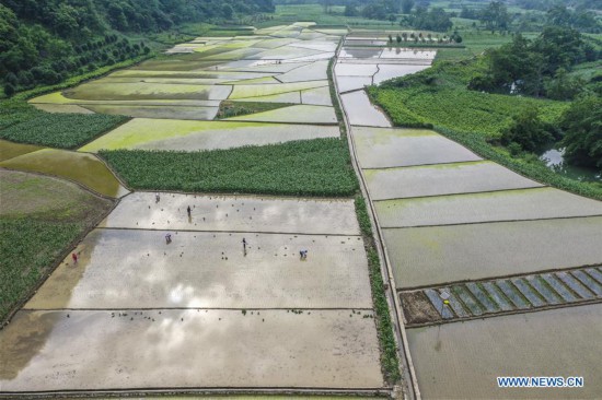 CHINA-GUANGXI-NANDAN-FARM WORK (CN)