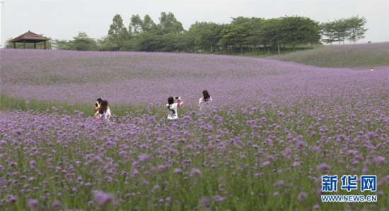 #����ᣩ��8���׽���Ȼ ��������