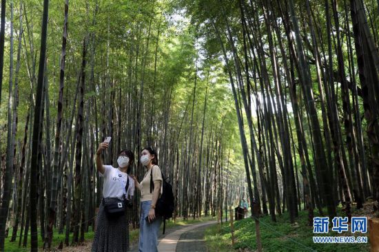 #����ᣩ��3���׽���Ȼ ��������