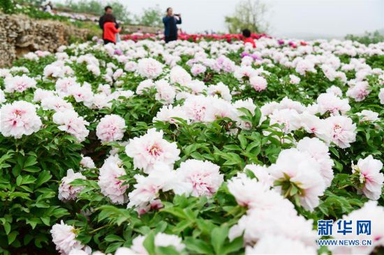 #����ᣩ��2���׽���Ȼ ��������