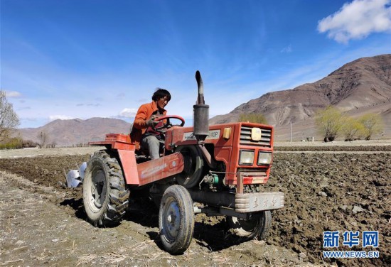 （經濟）（2）西藏日喀則：農民春耕忙
