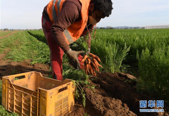 �����ʣ���2��������������������ܲ�����