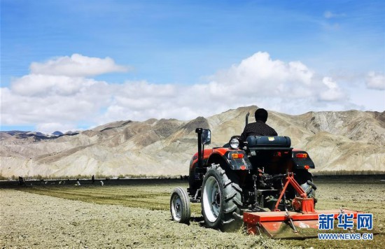 （經濟）（4）西藏日喀則：農民春耕忙