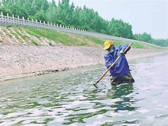 城市裡的“河渠美容師”